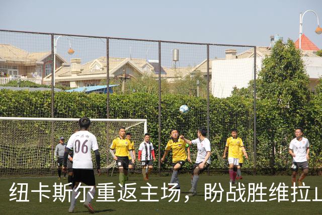 纽卡斯尔重返主场，盼战胜维拉止住颓势
